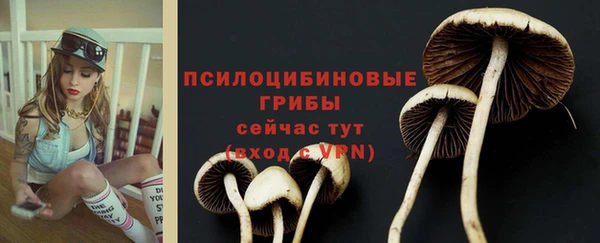 сатива Алексеевка