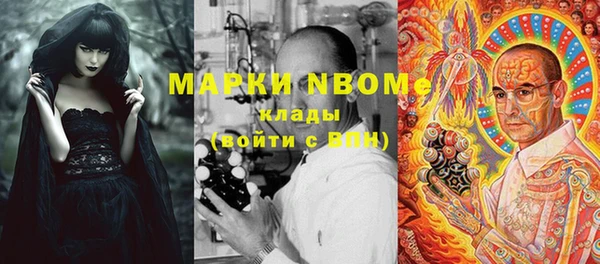 сатива Алексеевка