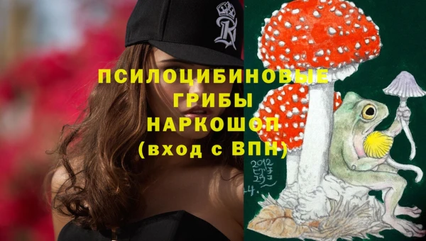 сатива Алексеевка