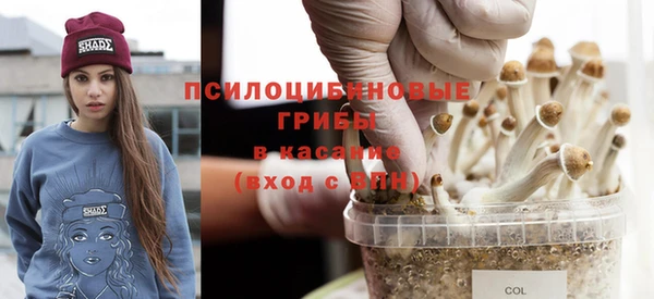 сатива Алексеевка