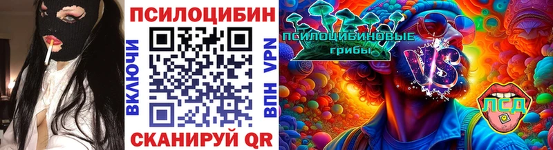 Галлюциногенные грибы Psilocybine cubensis  Себеж 